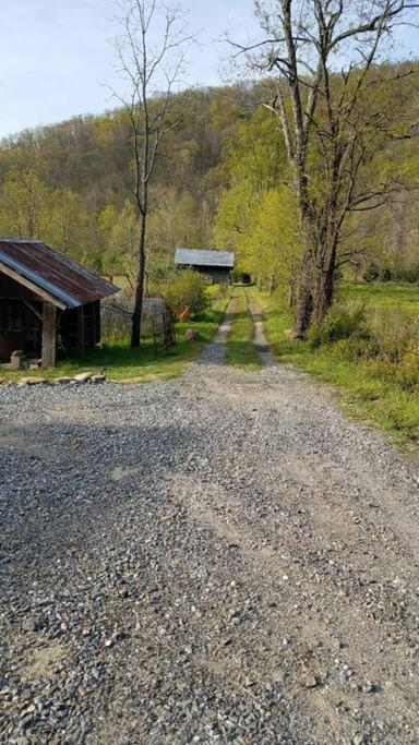 Country Mountain Escape! Villa Barnardsville Exteriör bild