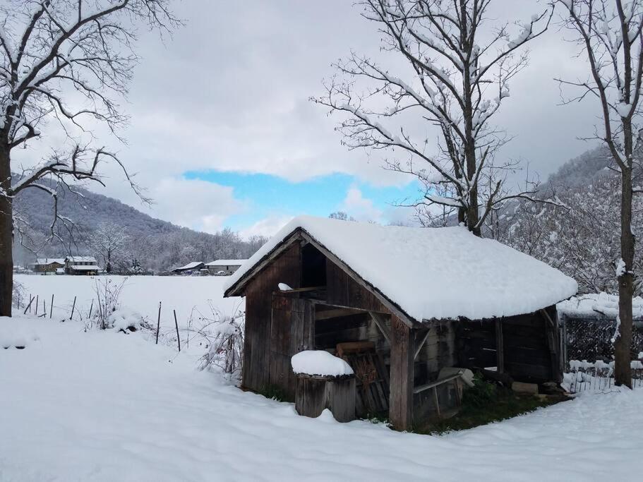 Country Mountain Escape! Villa Barnardsville Exteriör bild
